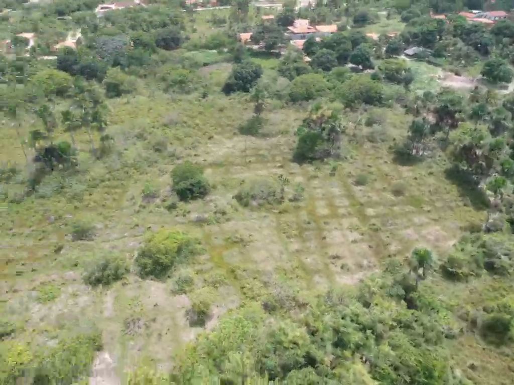 Barreirinhas/Ma: Terreno Vender em São Domingos