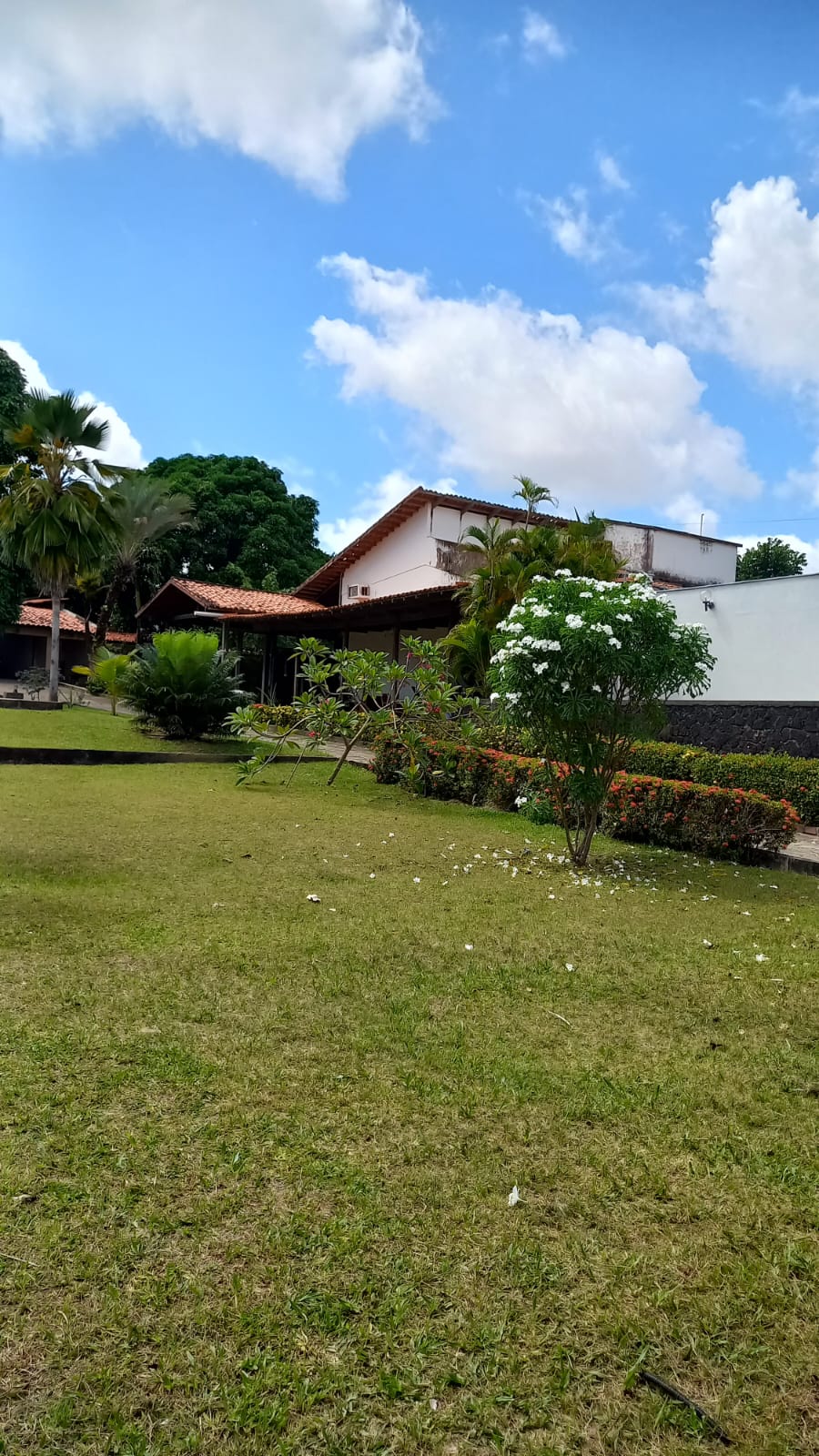 OLHO D’ÁGUA: VENDO EXCELENTE CASA C/ 550,00m2 ÁREA CONSTRUÍDA